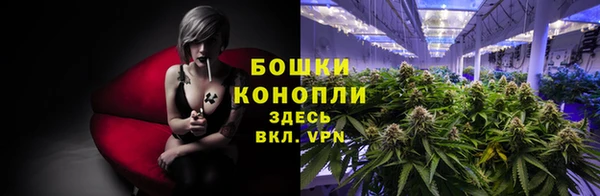 СК Снежинск
