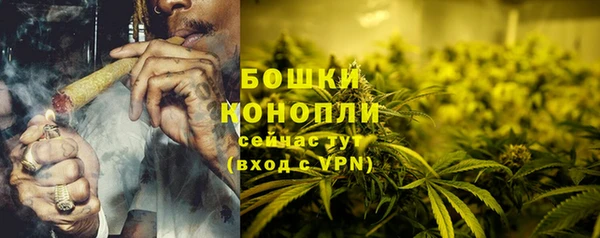 mdma Снежногорск