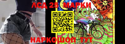 винт Тара
