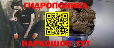 винт Тара