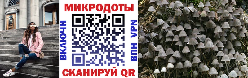 kraken онион  Череповец  Галлюциногенные грибы GOLDEN TEACHER 