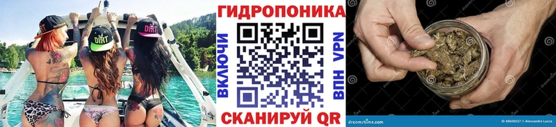 Шишки марихуана семена  Череповец 